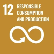 Responsible Consumption and Production
